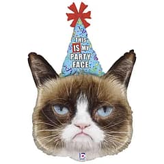Кіт у ковпаку/Невдоволений Grumpy cat