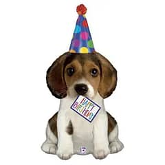 Собака в ковпаку Happy Birthday